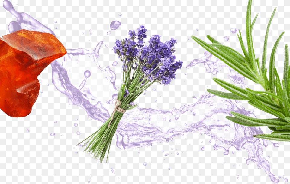 High Resolution Water Splash, Flower, Flower Arrangement, Flower Bouquet, Plant Free Png Download