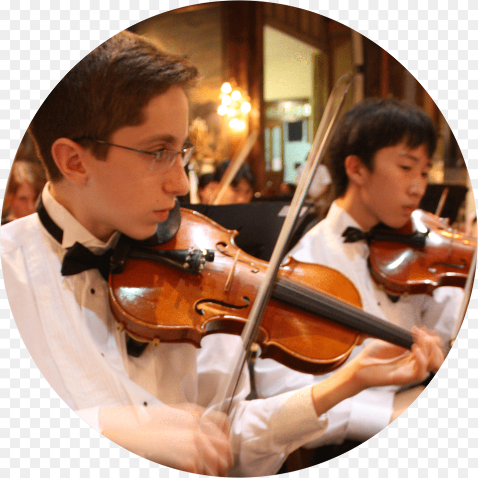 High School Orchestras 3 Types Of Orchestra, Violin, Musical Instrument, Person, Man Png