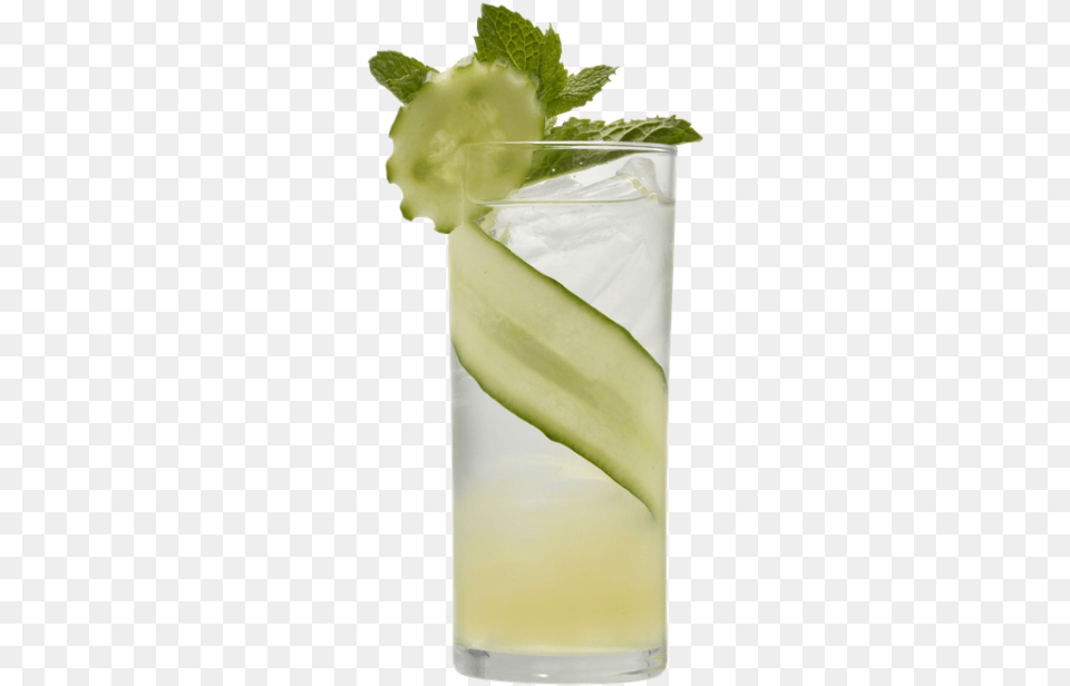 Highball, Alcohol, Beverage, Cocktail, Plant Free Png