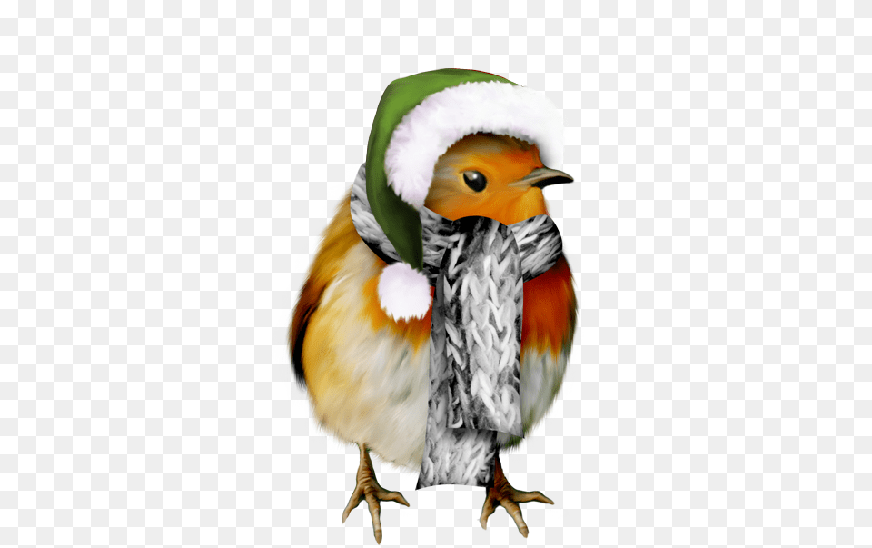 Highfour Pchristmas Clip Art, Animal, Beak, Bird, Finch Free Transparent Png