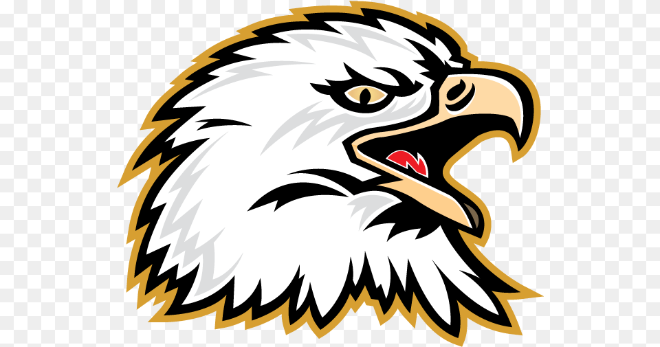Highlands Junior Highlands Junior School Mascot, Animal, Beak, Bird, Eagle Free Png