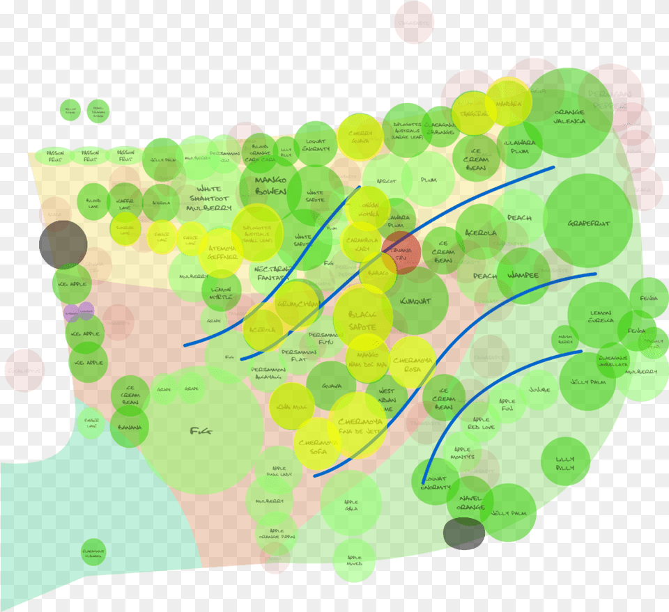 Highlighted Circles Are Trees I Plan Graphic Design, Art, Graphics, Chart, Plot Png