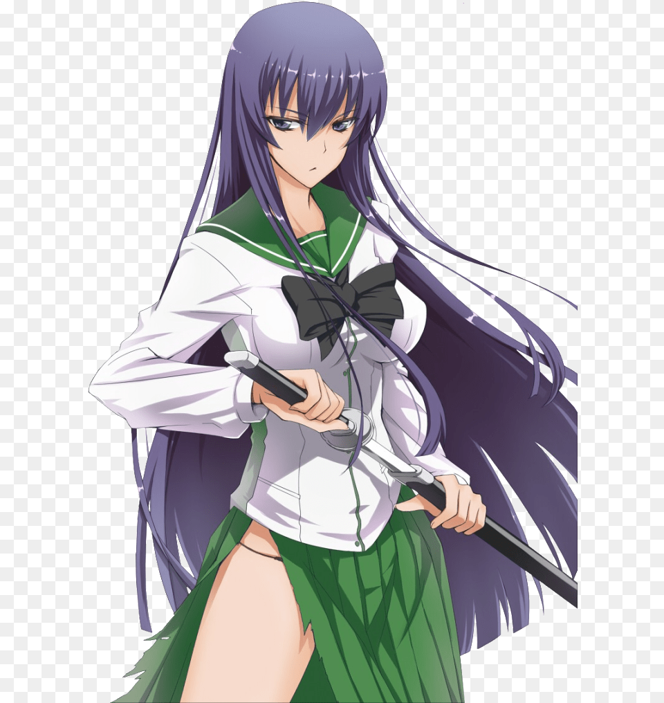 Highschool Of The Dead Purple Haired Girl, Adult, Publication, Person, Female Png Image