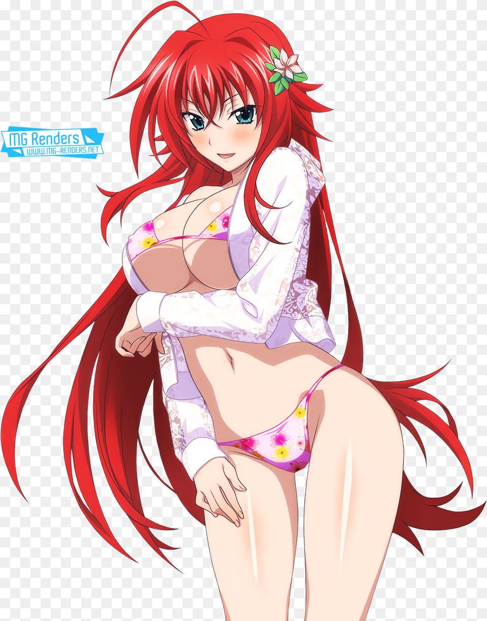 Highschooldxd Riasgremoryrender249png, Book, Comics, Publication, Adult Free Png