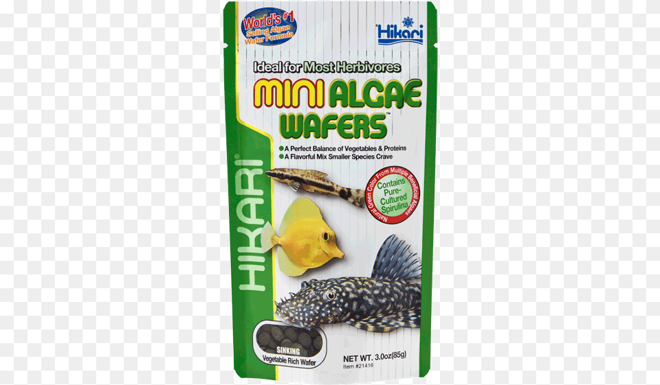 Hikari Tropical Mini Algae Wafers Hikari Mini Algae Wafers 22 Lb, Animal, Fish, Sea Life Free Png Download
