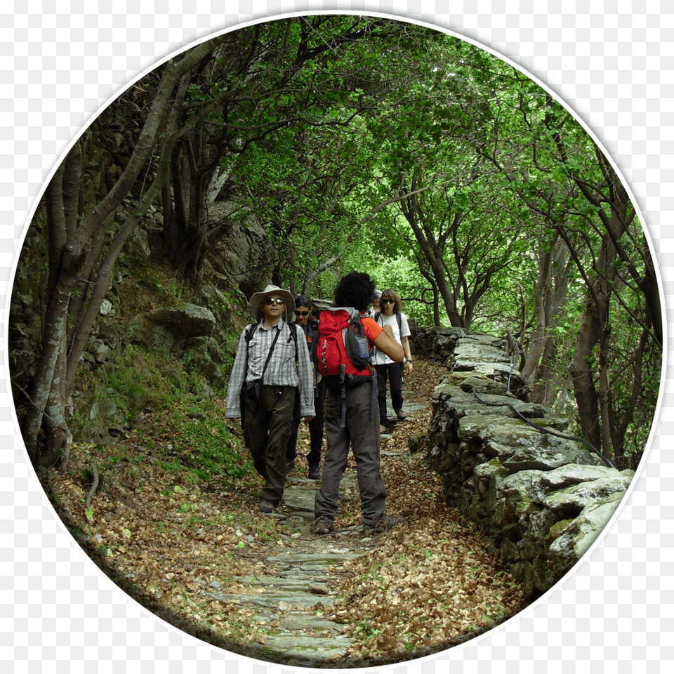 Hiking Tours Backpacking, Adventure, Photography, Person, Path Png Image