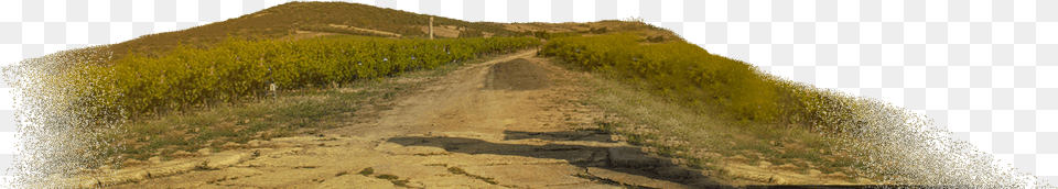 Hill, Soil, Road, Path, Outdoors Png