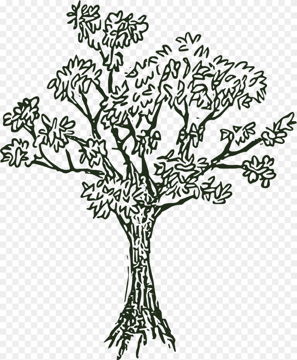 Hill Tree Black And White Lost Hill Lake Events, Art, Drawing, Plant Png Image