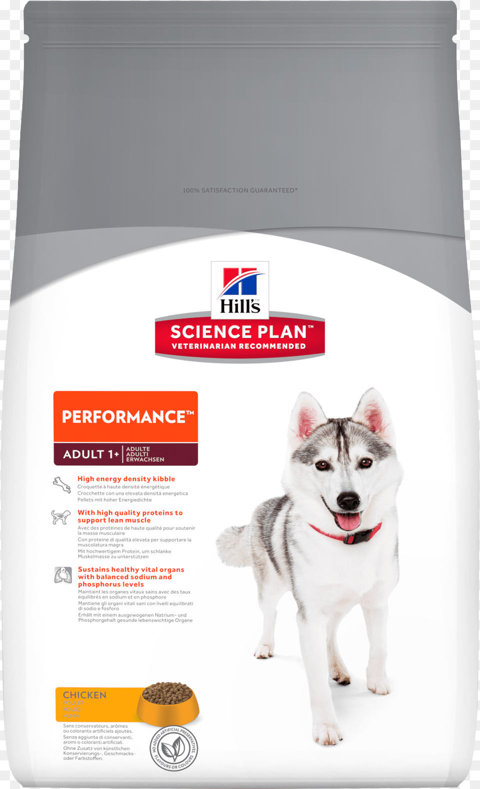 Hills Adult Performance Dog Food 7569 Hairball Control For Cats, Advertisement, Animal, Canine, Husky Png