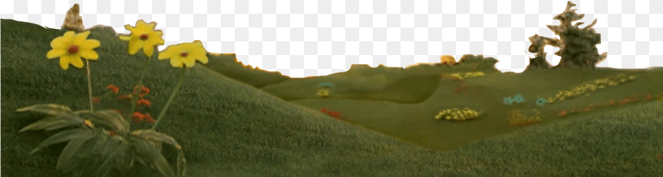 Hills Animated Sunrise Gif, Landscape, Field, Grassland, Outdoors Free Png