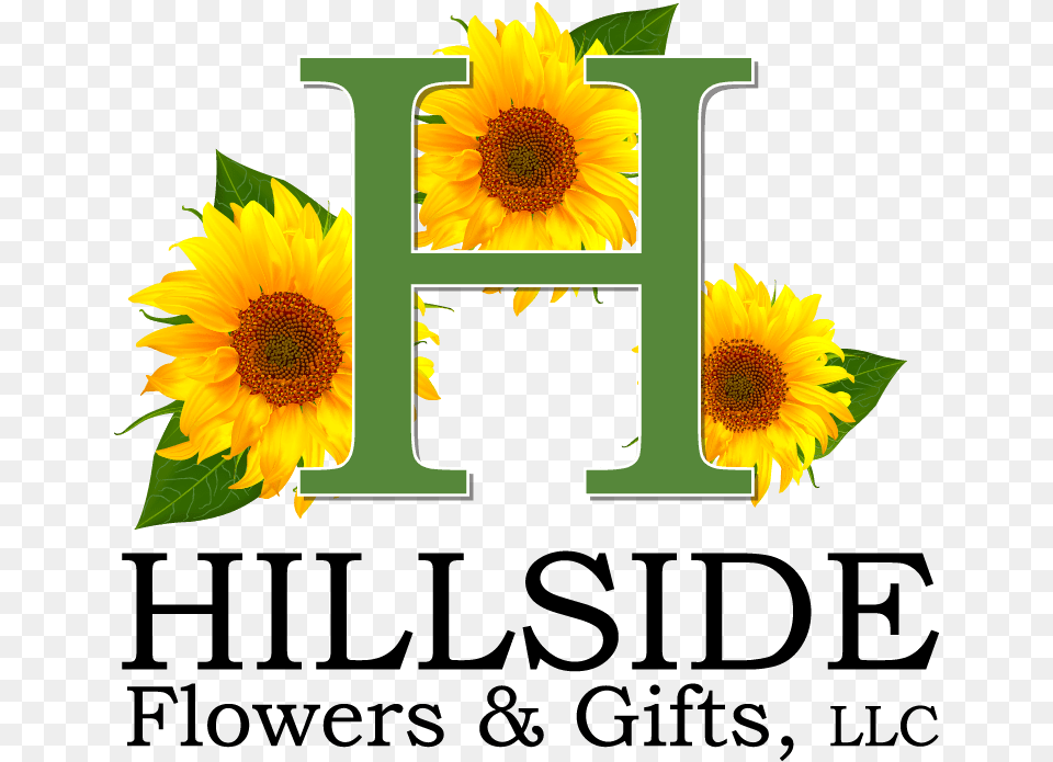 Hillside Flowers Amp Gifts Tennessee State University College Of Business, Flower, Plant, Sunflower Free Png
