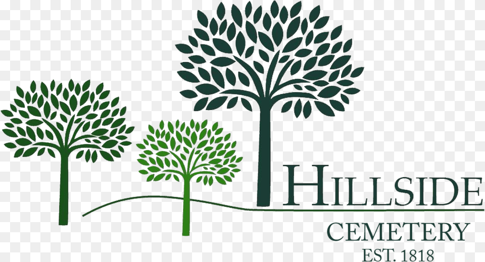 Hillsidewilton Illustration, Vegetation, Tree, Plant, Green Png