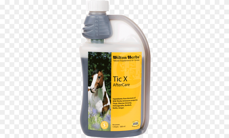 Hilton Herbs, Bottle, Animal, Horse, Mammal Png Image