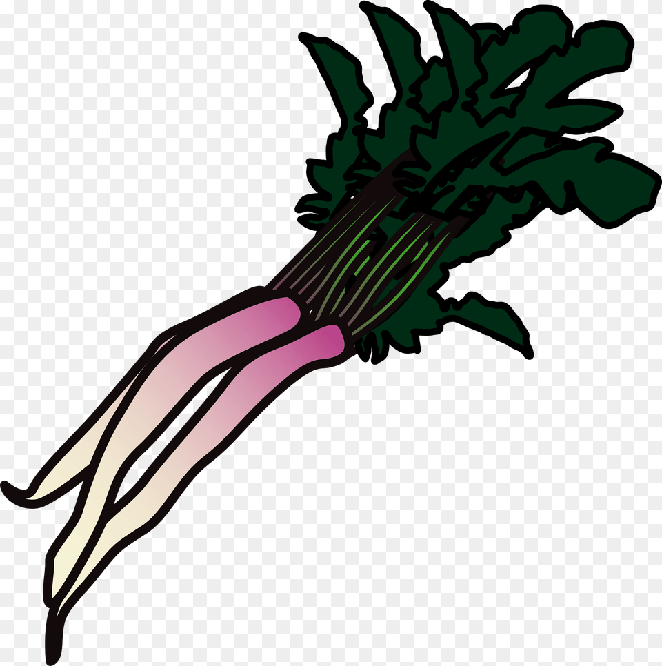 Hinona Vegetable Food Clipart, Produce, Smoke Pipe, Leek, Plant Free Png