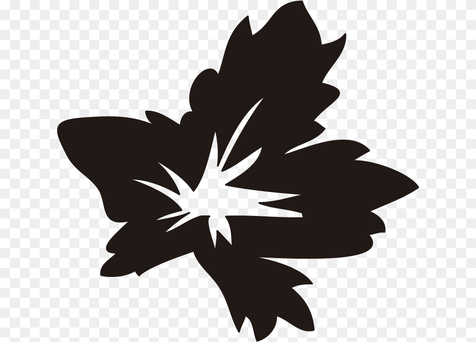 Hippeastrum, Leaf, Plant, Person Free Png Download