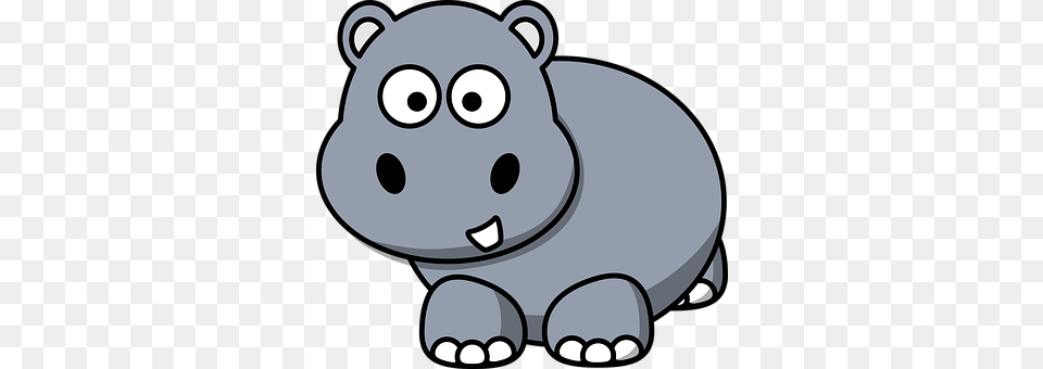 Hippo Animal, Bear, Mammal, Wildlife Free Transparent Png