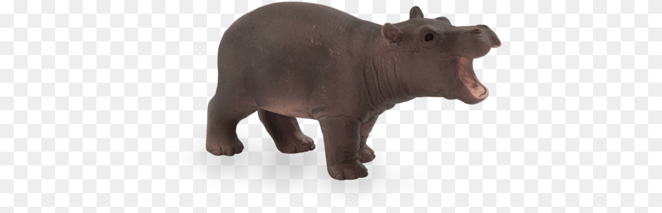 Hippo Baby Mojo Hippo Baby, Animal, Mammal, Pig, Wildlife Free Png Download
