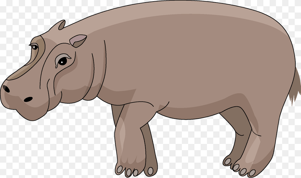 Hippo Clipart, Animal, Mammal, Wildlife Png Image