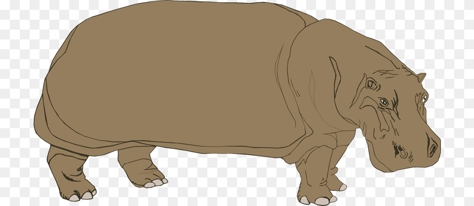 Hippo Clipart Dee Image Hippopotamus, Animal, Mammal, Wildlife, Person Free Png