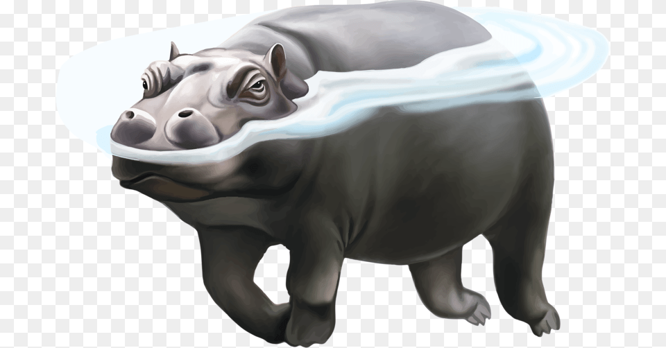 Hippo Picture, Animal, Mammal, Wildlife, Pig Png Image