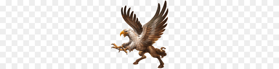 Hippogriff, Animal, Bird, Electronics, Hardware Free Png Download