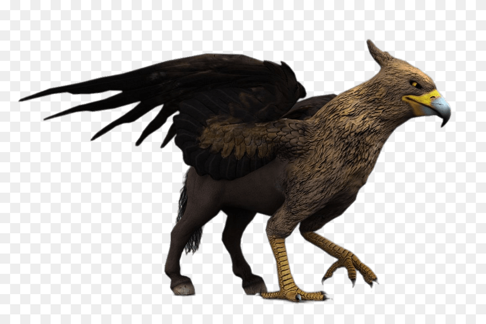 Hippogriff Statuette, Animal, Beak, Bird, Vulture Free Png