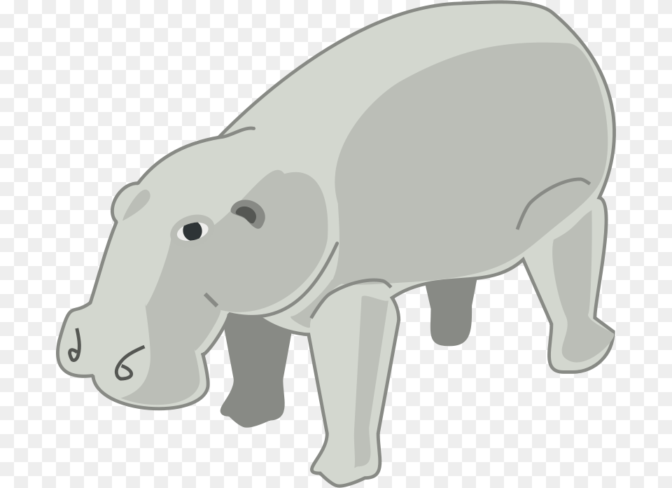 Hippopotamus, Animal, Bear, Mammal, Wildlife Free Png Download