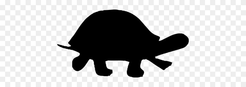 Hippopotamus Cat Drawing Lion Animal Rights, Gray Free Png Download
