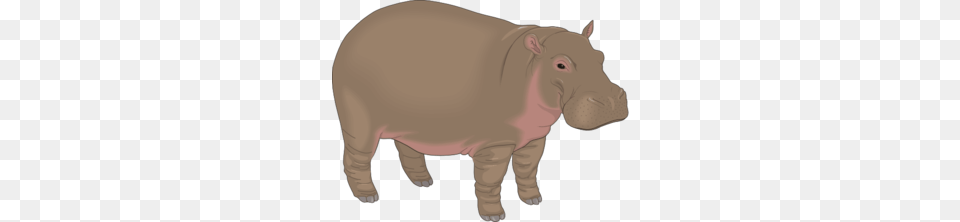 Hippopotamus Clip Art, Animal, Mammal, Hippo, Wildlife Png