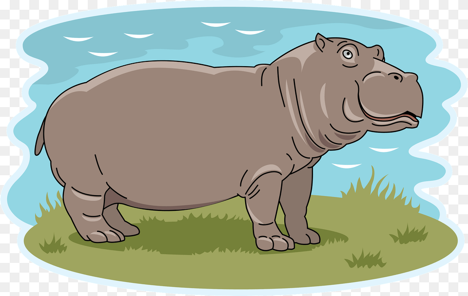 Hippopotamus Clipart, Animal, Mammal, Wildlife, Hippo Free Transparent Png