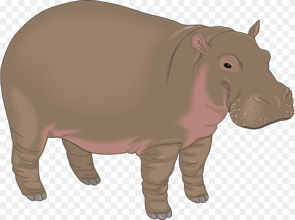 Hippopotamus Clipart, Animal, Mammal, Hippo, Wildlife Free Transparent Png