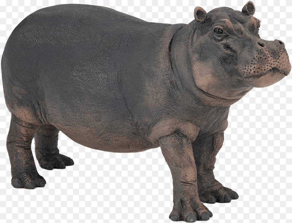 Hippopotamus Image Papo Hippopotamus Toy, Animal, Bear, Mammal, Wildlife Free Transparent Png