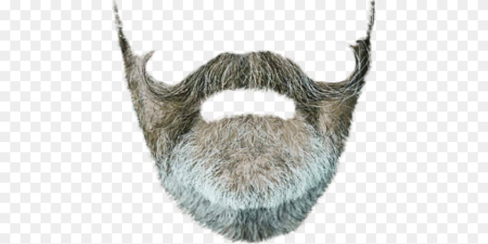 Hipster Beard Beard Clipart Hipster Beard Animal Product, Face, Head, Person, Mustache Png