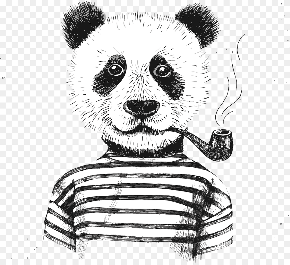 Hipster Panda, Smoke Pipe, Art, Drawing, Animal Free Png