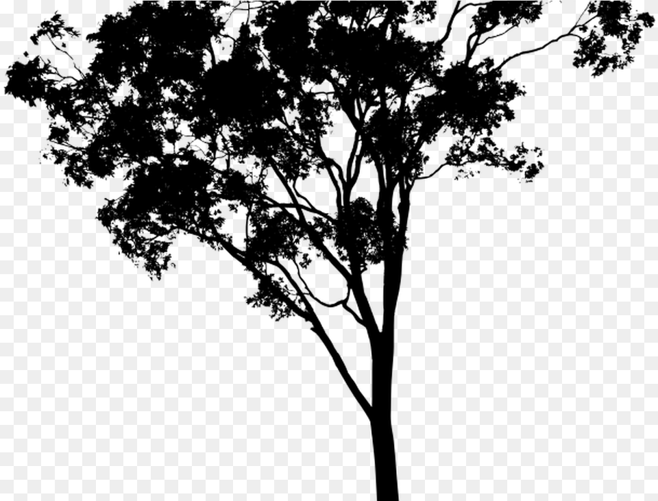 Hipster Vector Tree Huge Freebie Download For Powerpoint Eucalyptus Tree Silhouette, Gray Png