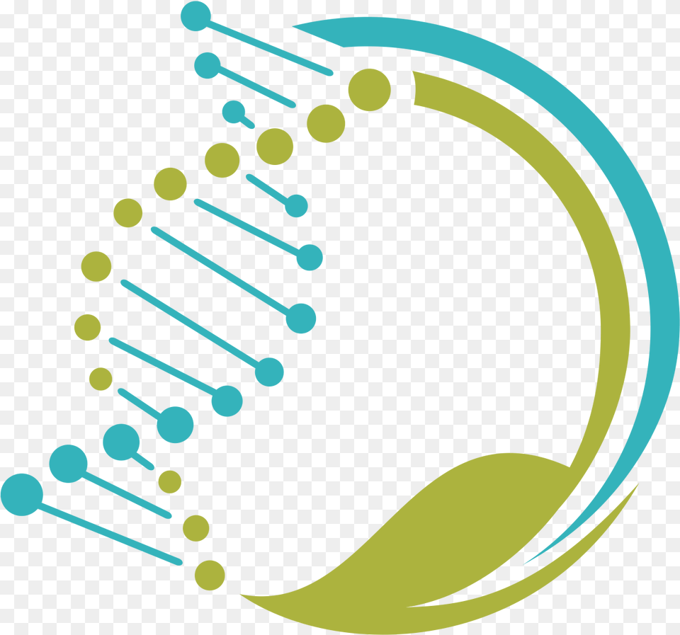 Hire A Genetic Genealogist For Dna Research Legacy Tree Colorful Icon, Mace Club, Weapon Png