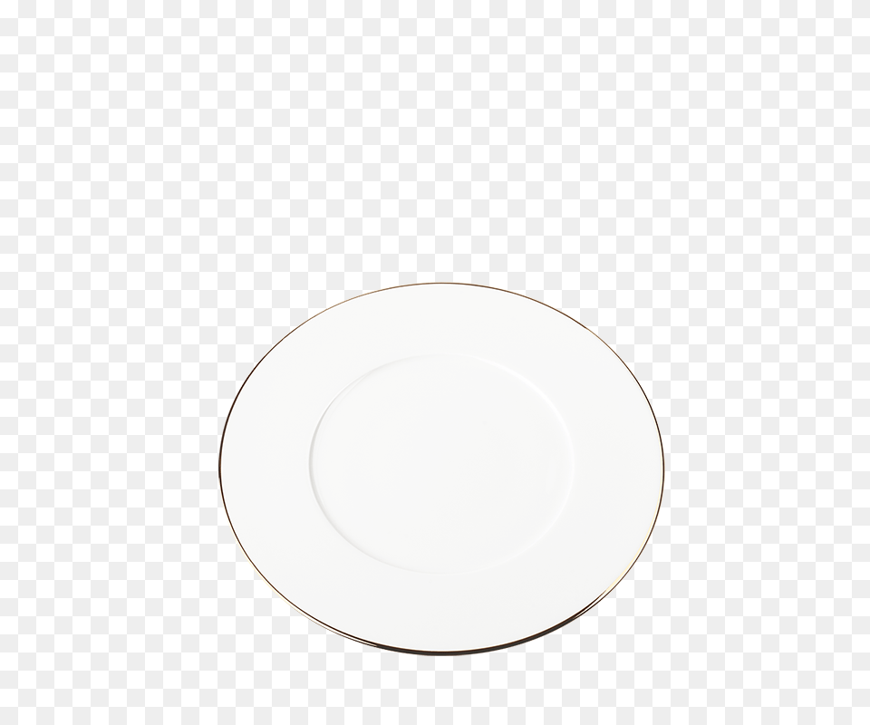 Hire Plane Lunch Plate With Gold Thread, Art, Porcelain, Pottery, Saucer Png