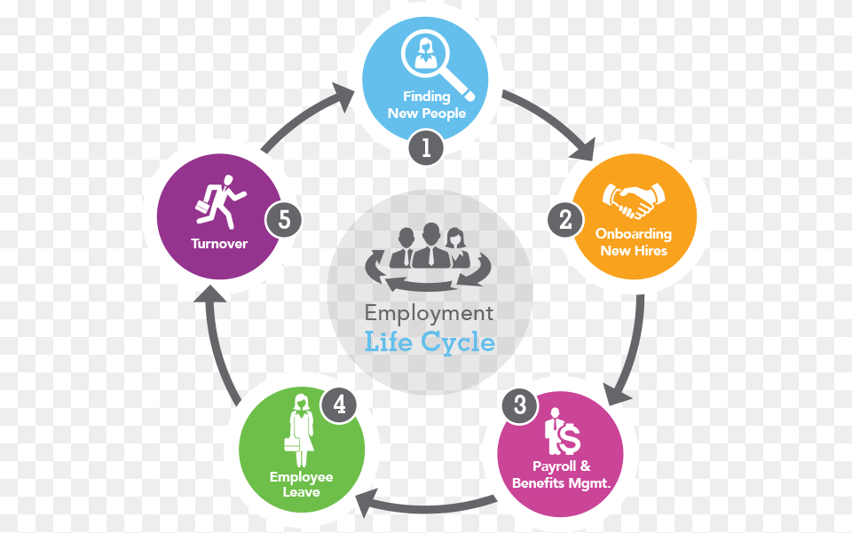 Hire To Retire Life Cycle, Person Png