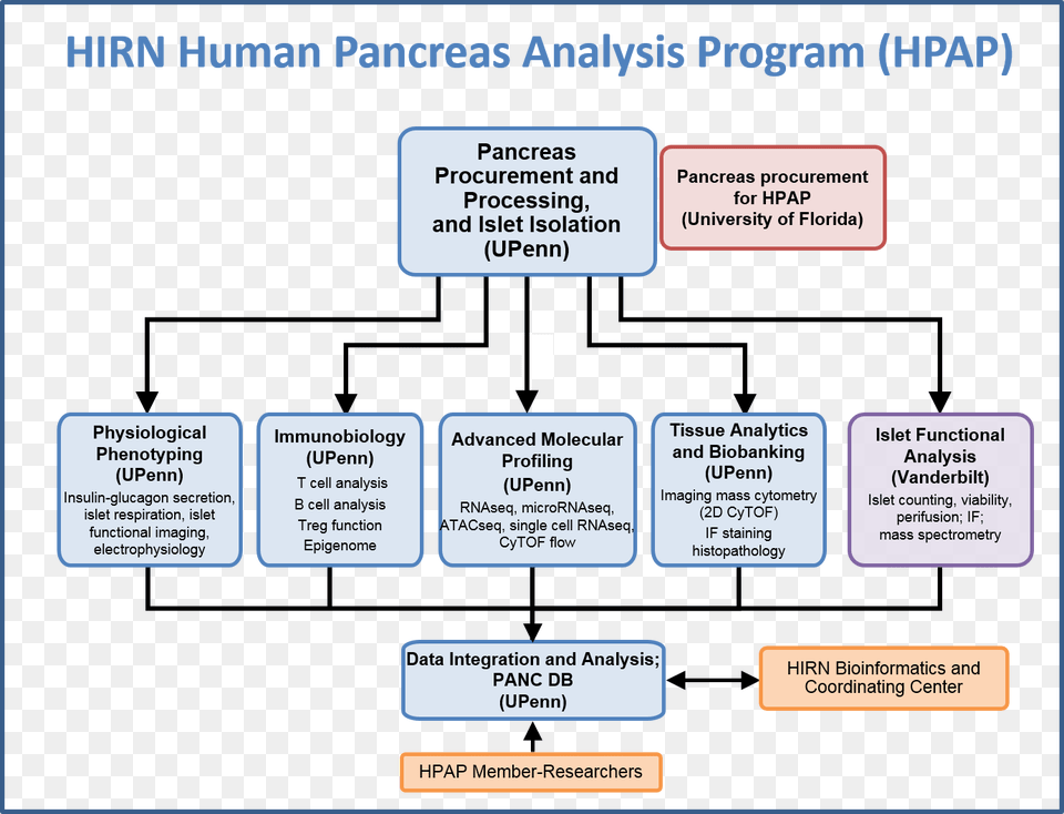 Hirn Human Pancreas Analysis Program Diagram, Uml Diagram, Text Png Image
