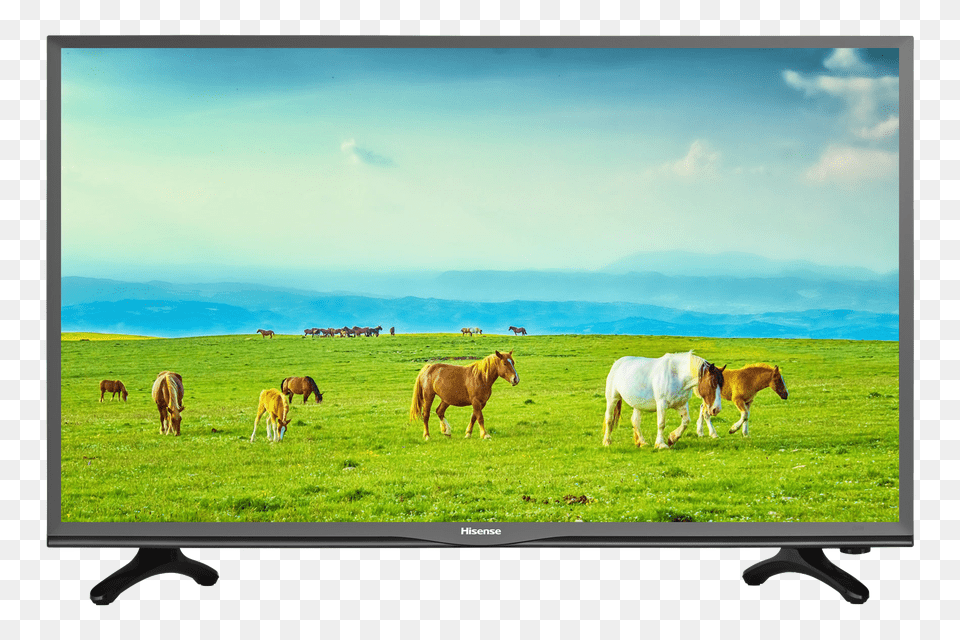Hisense Tv Fair Price, Screen, Computer Hardware, Monitor, Electronics Free Transparent Png