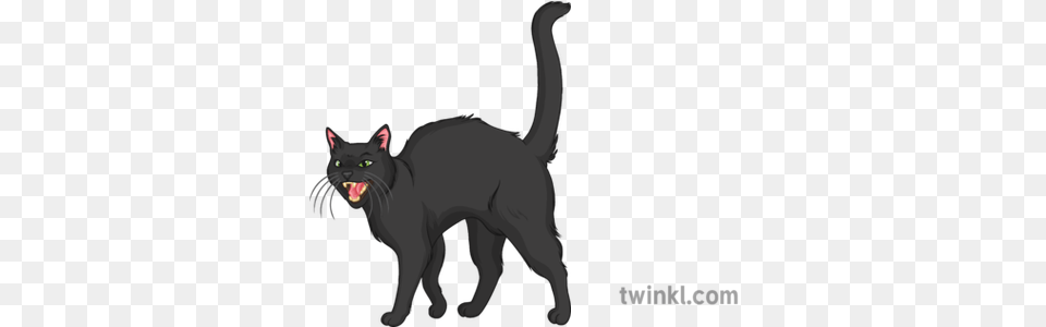 Hissing Black Cat General Animals Pets Halloween Secondary Halloween Black Cat Hissing, Animal, Mammal, Pet, Black Cat Free Transparent Png