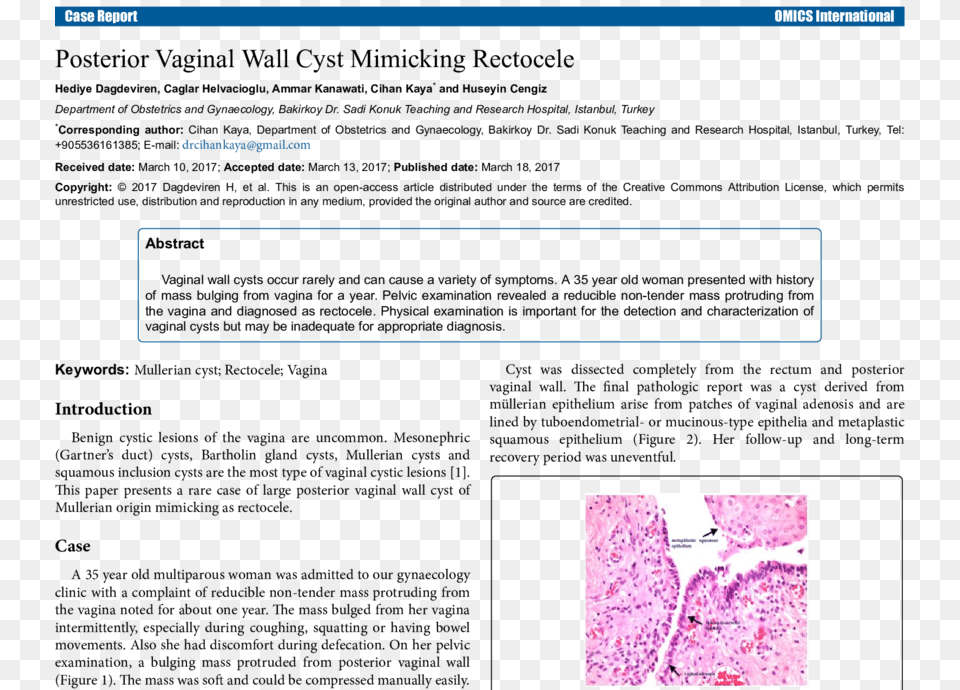 Histopathologic Findings Of Vaginal Cyst Vaginal Cysts, Page, Text Png