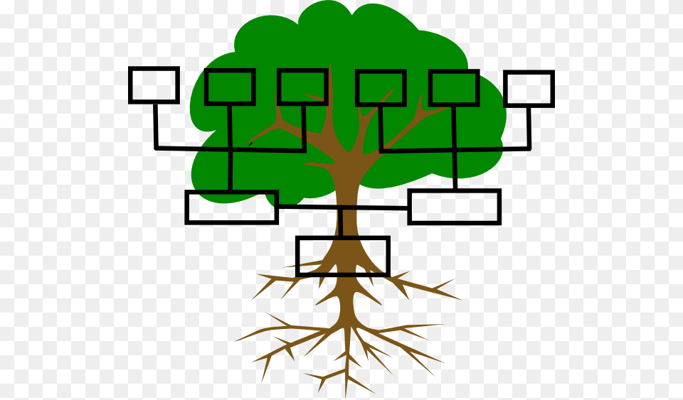 History Clip Art, Plant, Root, Leaf Png Image