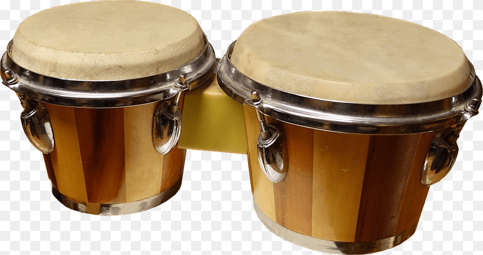 History Of Bongo Drums And How To Play Bongos, Drum, Musical Instrument, Percussion, Conga Free Png Download