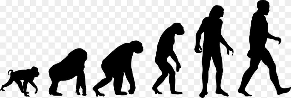 History Of Evolution, Silhouette, Adult, Male, Man Png Image