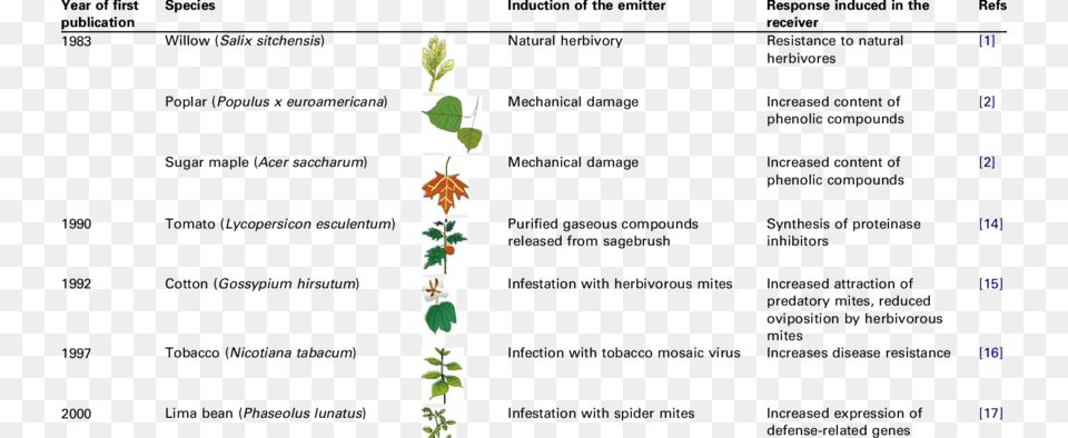 History Of Research On Airborne Plant Plant Signaling Air Borne Plant Diseases, Leaf, Art Free Transparent Png