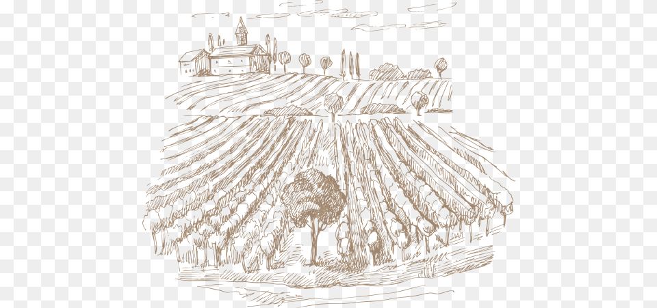 History Vineyard, Countryside, Nature, Outdoors, Agriculture Free Transparent Png