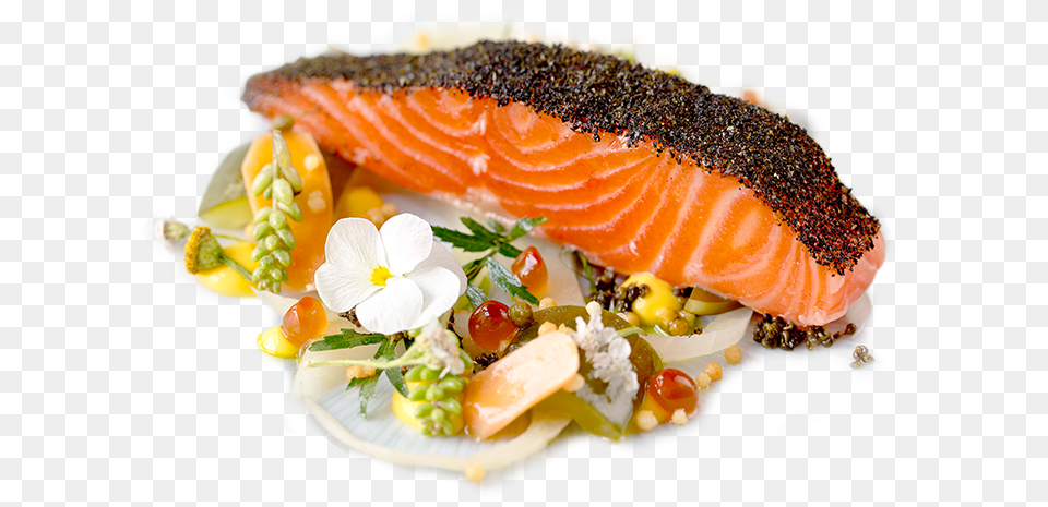 Hisui Sushi, Food, Seafood, Salmon Free Png