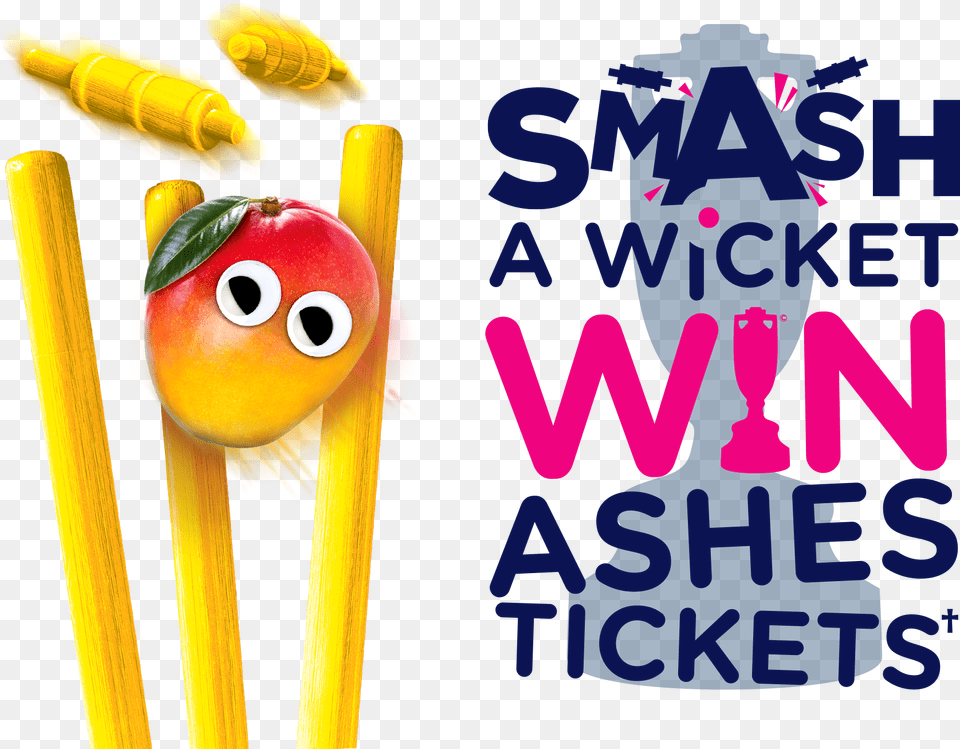 Hit A Wicket Win Ashes Tickets, Animal, Bird Free Png
