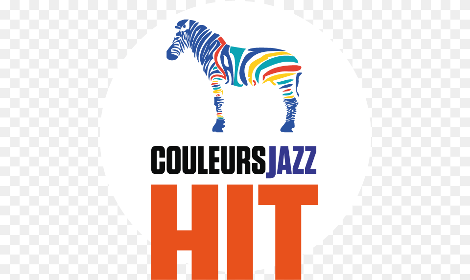 Hit Couleurs Jazz, Animal, Mammal, Wildlife, Zebra Free Png Download
